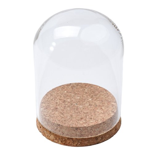 Bild von Moderne Glaskuppel mit Holz-Kork-Basis – 8, 10 und 12 cm, handgefertigte Trockenblumenvase für Landhaus- und Naturdeko
