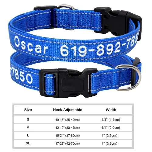 6221-1DBLUE