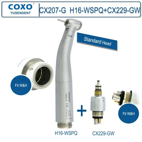 H16-WSPQ und CX229GW