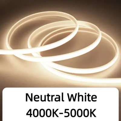 Image de Lumière LED Extérieure Étanche 35m - Éclairage Villa, Jardin, Piscine