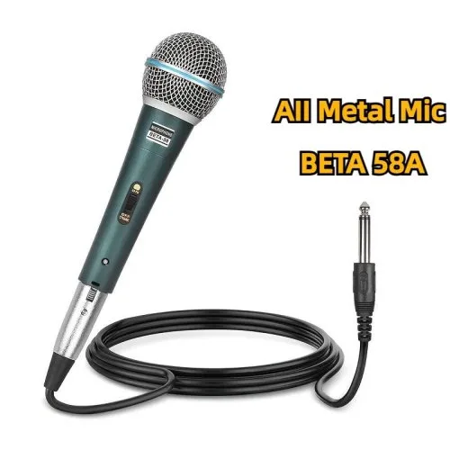 Microphone