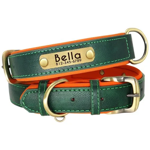 Grünes Halsband