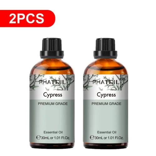 Zypresse