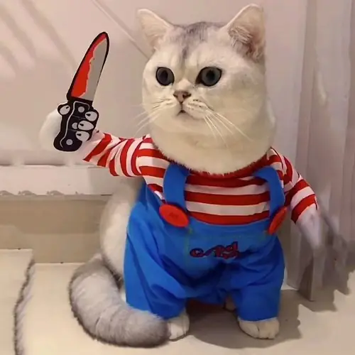 Image de Costumes de Chat Mignons pour Chiens et Chats