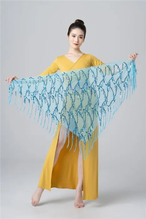 Image de Costume de Danse du Ventre Élégant avec Paillettes