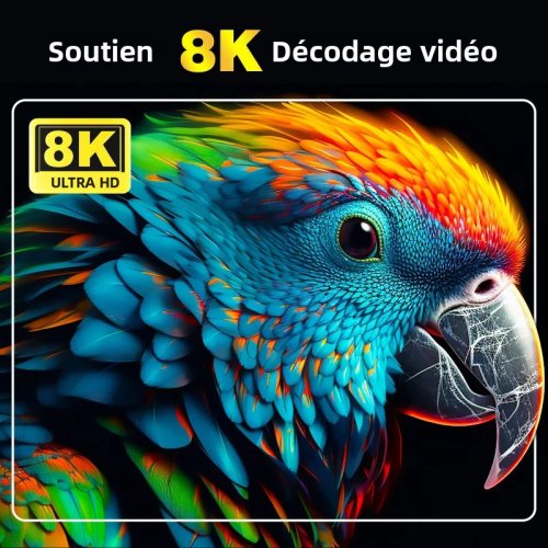 Vue 4 du produit