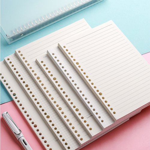 Immagine di Raccoglitore con Fogli Mobili A4, A5, B5 - 50 Fogli, 100 Pagine
