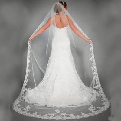 Image de Voile de Mariée Long en Tulle avec Dentelle - Élégance & Raffinement
