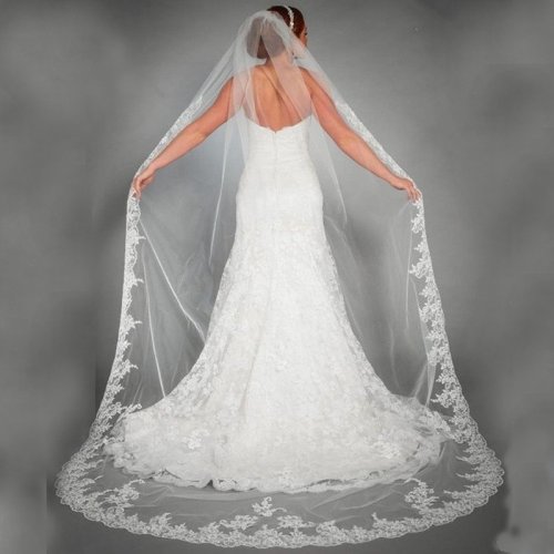 Image of Elegant Tulle Cathedral Wedding Veil with Lace Edge Appliques – 3 Meter Long Bridal Veil for Romantic Weddings