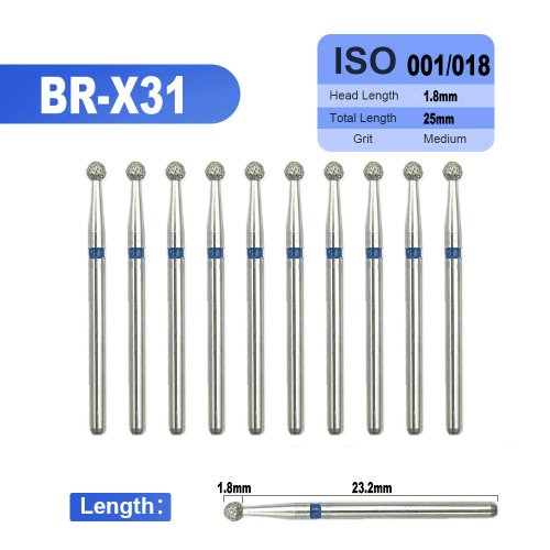 BR-X31