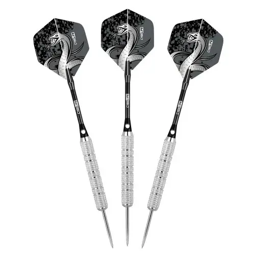 Image de Fléchettes Professionnelles 20g - Précision & Fun