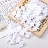 Vue 22 du produit