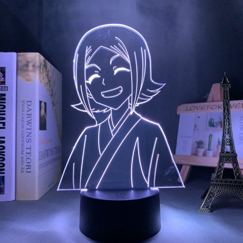 Vue 13 du produit