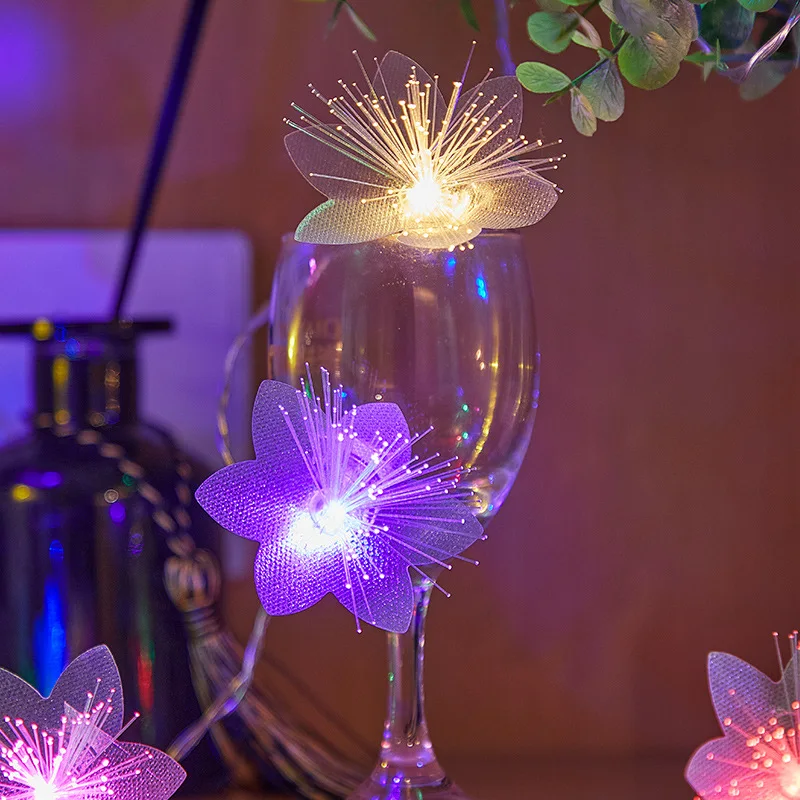 Vue 5 du produit