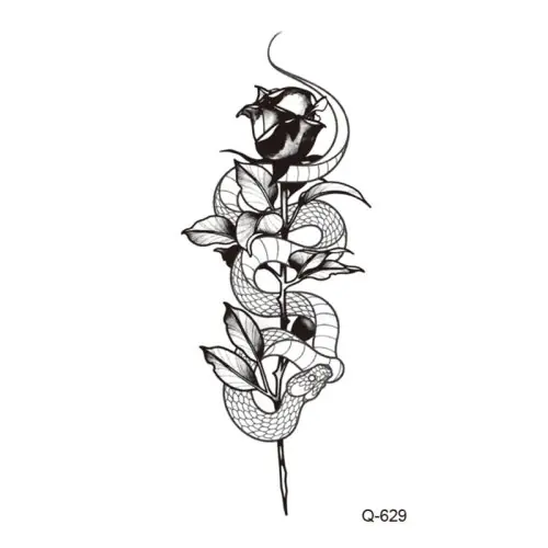 41-QD-Q-629