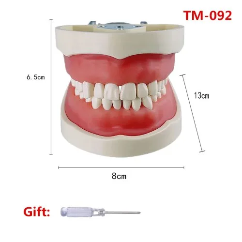 32teeth modelo TM-092