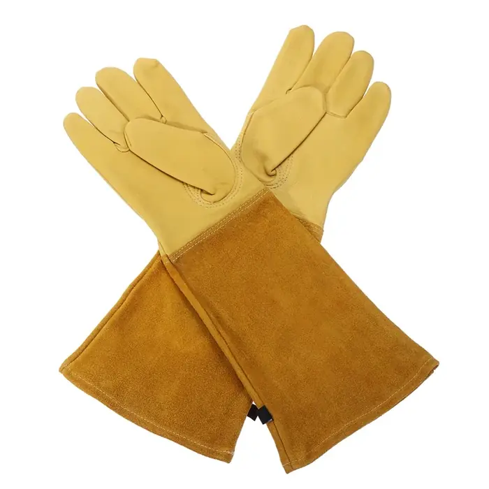 Jaune