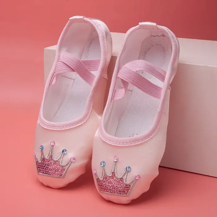 Image de Chaussures de Danse Enfant - Satin Brodé Griffe de Chat