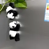 Vue 6 du produit