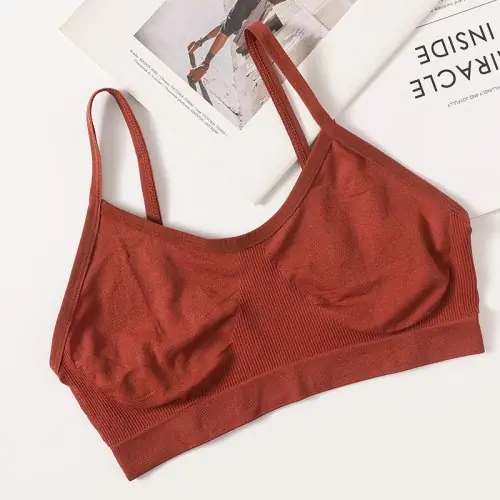 Image de Bustier Push-Up Sport Sans Couture - Sexy & Confortable
