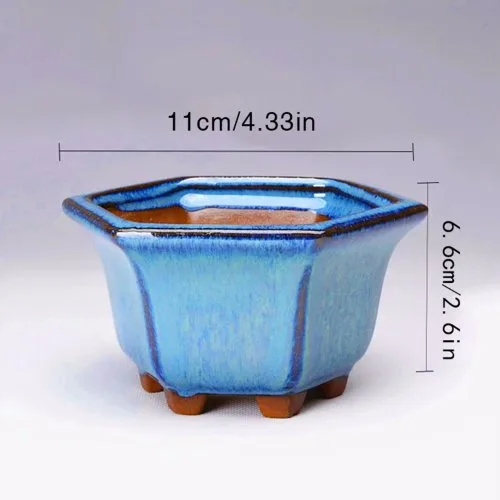 Stlye 6