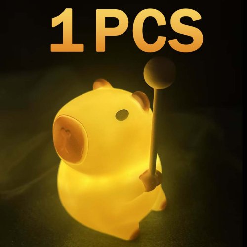 Vue 17 du produit