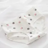Vue 24 du produit