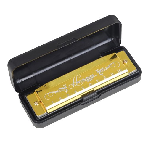 Image de Harmonica Professionnel 10 Trous - Cadeau Idéal pour Débutants