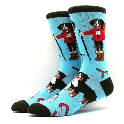 Image de Chaussettes Animées Zèbre & Koala - Style Fun pour Toute la Famille