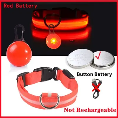 Image de Collier Lumineux LED pour Chien et Chat