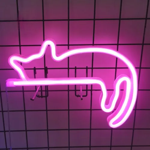 Nieuw kat roze