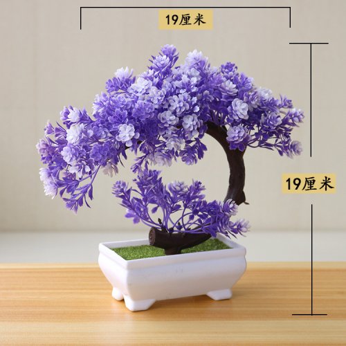 Vue 38 du produit