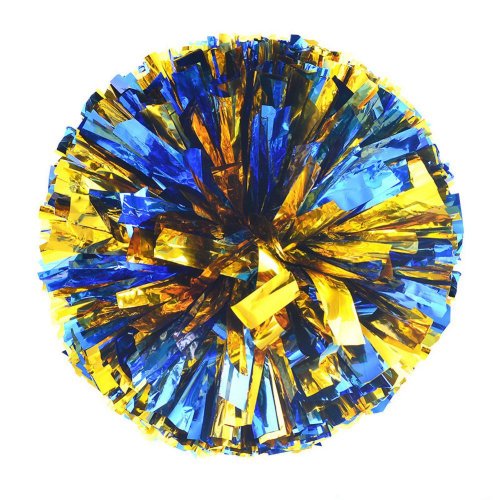 Image of 10PCS Cheerleader Pom Poms 31cm Cheerleading Pompoms Handle Style Team Sports Pompom Girls Game Big Match Cheering Hand Flower