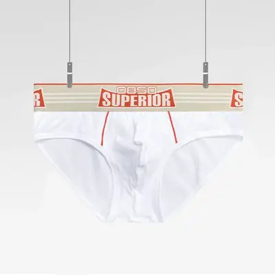 Image de Slips Hommes Coton Taille Basse - Confort & Style
