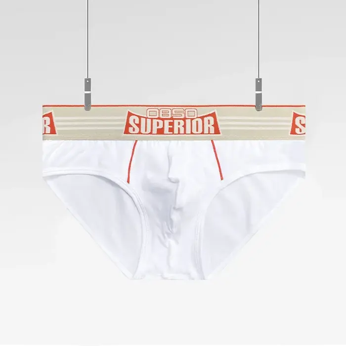 Image de Slips Hommes Coton Taille Basse - Confort & Style