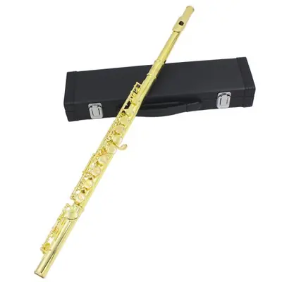 Image de Flûte Transversale Professionnelle 16 Troux - Clé C & E