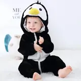 Vue 16 du produit