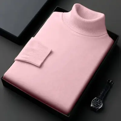 Image de Pull Homme Col Roulé Coupe Cintrée