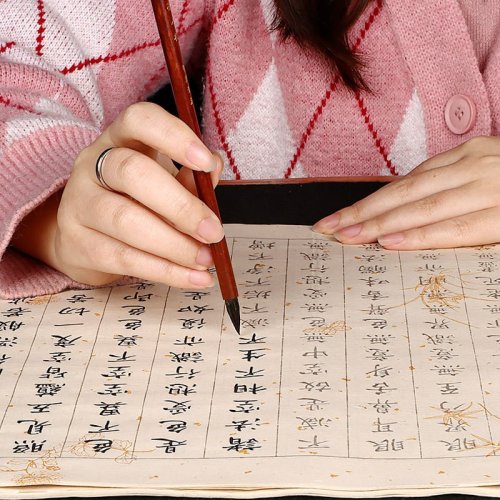 Immagine di Quaderni Copiati a Mano con Script Regolari: Pergamene Artigianali per Principianti e Appassionati di Calligrafia