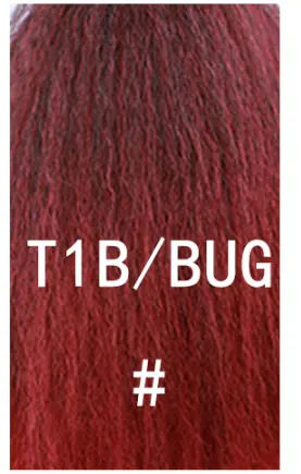 T1B BUG