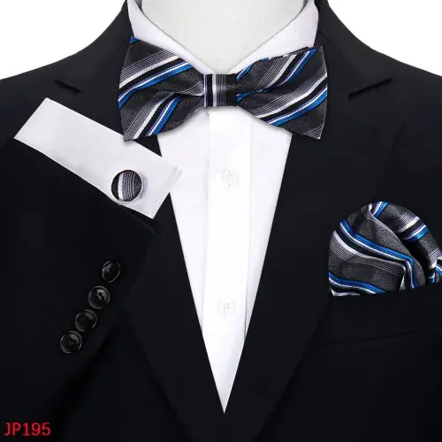 Image de Ensemble Nœud Papillon Soie Paisley - Élégance Homme