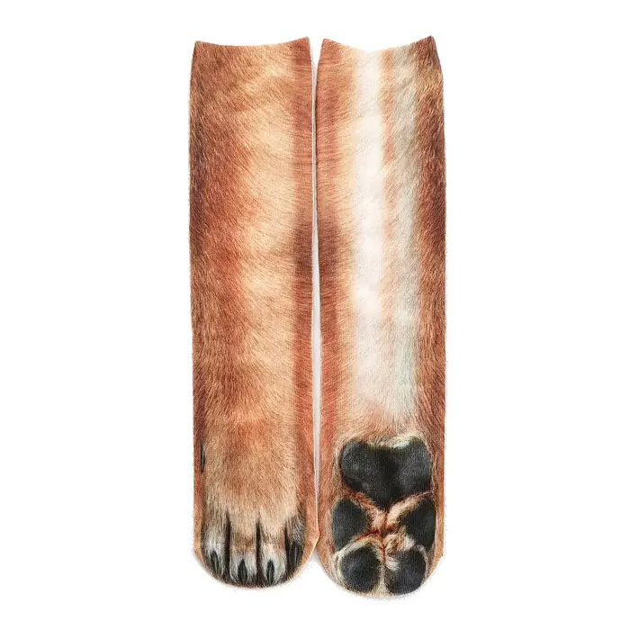 Chien