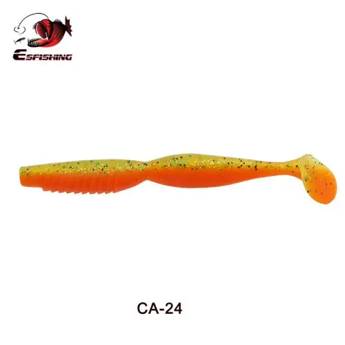 CA24