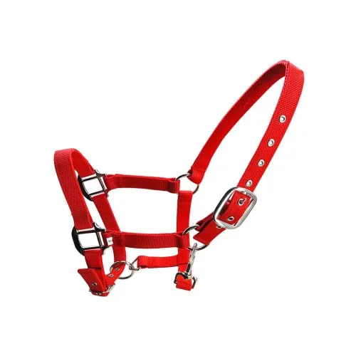 Red M