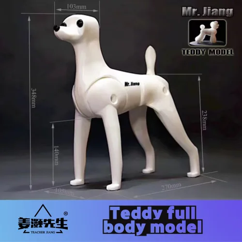 Teddy full bodymodel