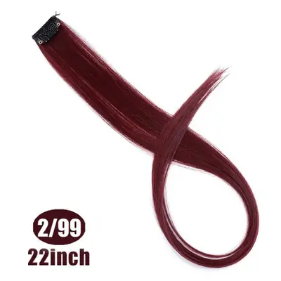 Image de Extensions de Cheveux Arc-en-Ciel 22 Pouces - Violet, Rose, Bleu