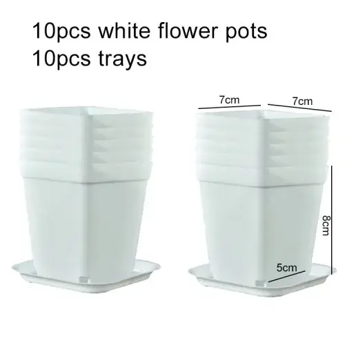 10pcs TPHP blanc