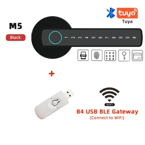 M5-B et passerelle