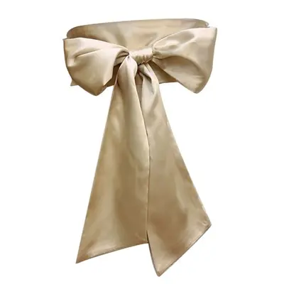 Image de Ceinture de Taille en Soie avec Nœud Papillon