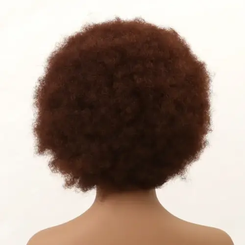 Image de Perruque Afro Rock Punk Années 70 - 6 Couleurs